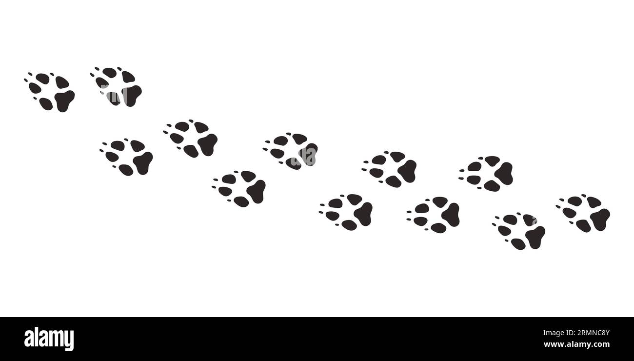 Fox Paws. Empreintes de pattes d'animaux, vecteur différentes empreintes d'animaux noir sur illustration blanche Illustration de Vecteur