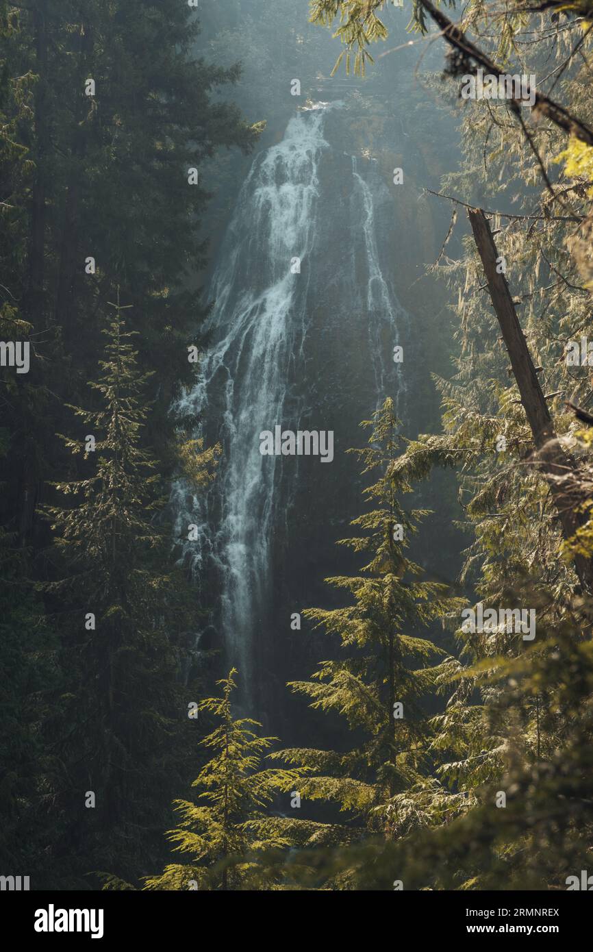 Proxy Falls - Oregon Banque D'Images