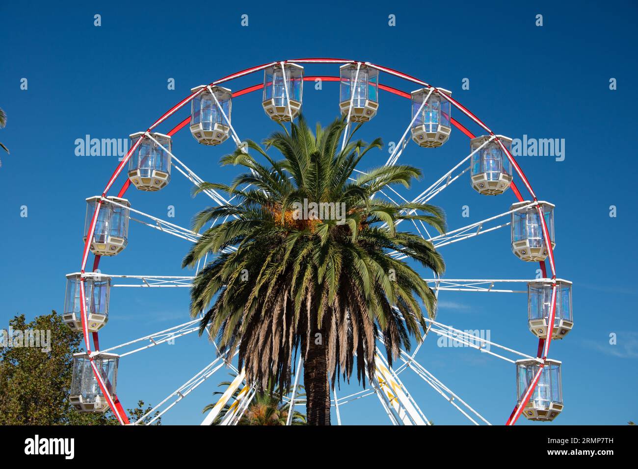 Une grande roue blanche et rouge festive contre un ciel bleu avec un palmier vert au premier plan, horizontal Banque D'Images