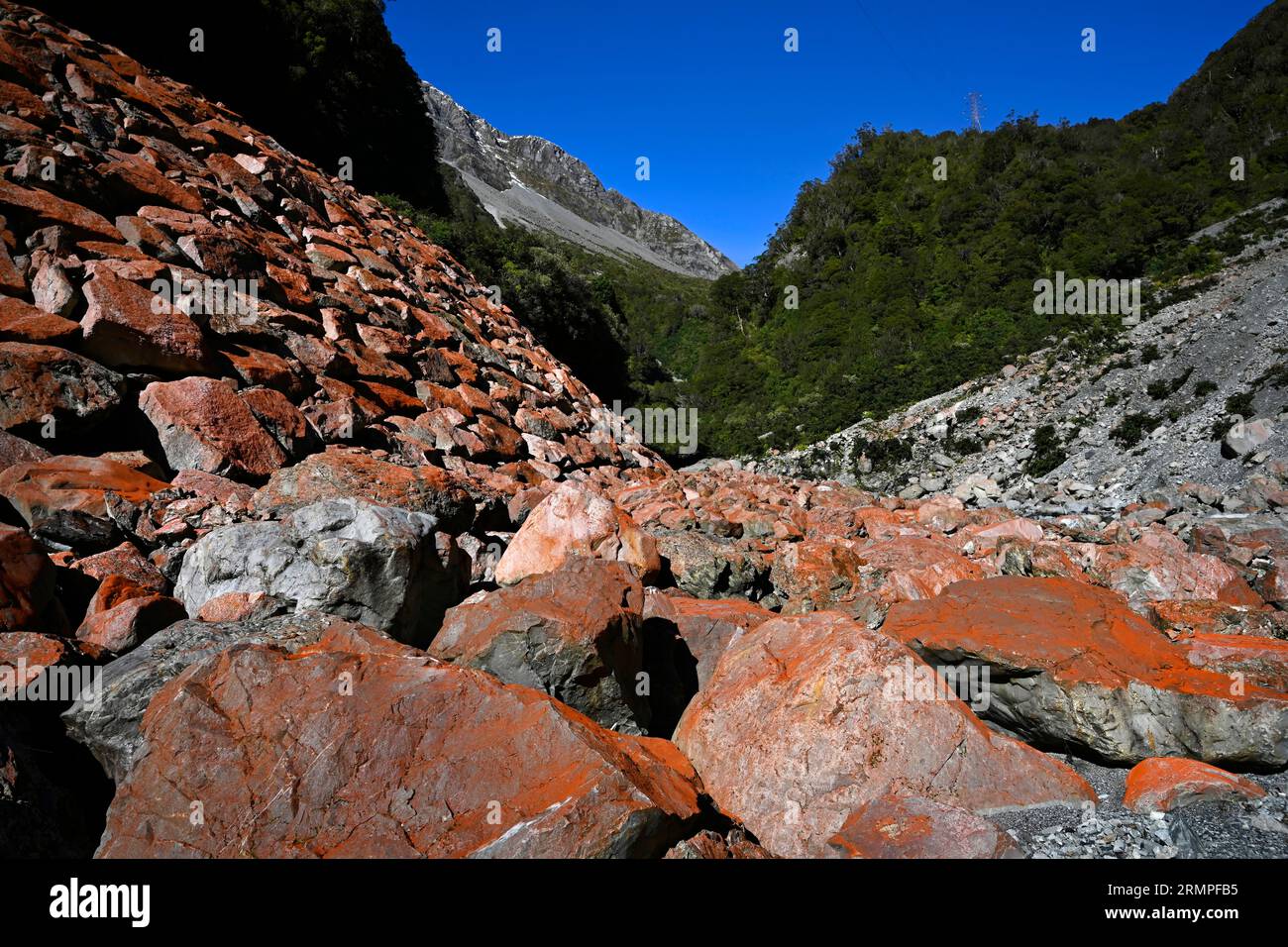 Les roches rouges de la gorge d'Otira, côte ouest, Nouvelle-Zélande. Ceci est causé par l'oxyde de fer. Banque D'Images