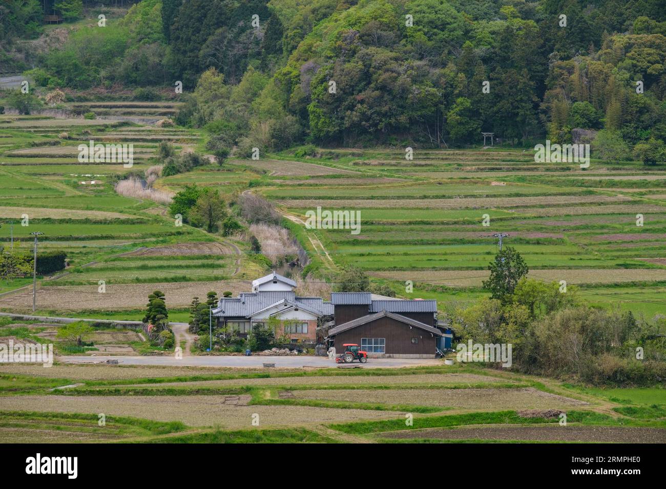 Japon, Kyushu. Vue des terres agricoles du village de Tashibu-no-sho, péninsule de Kunisaki, préfecture d'Oita. Rizières pas encore plantées. Banque D'Images