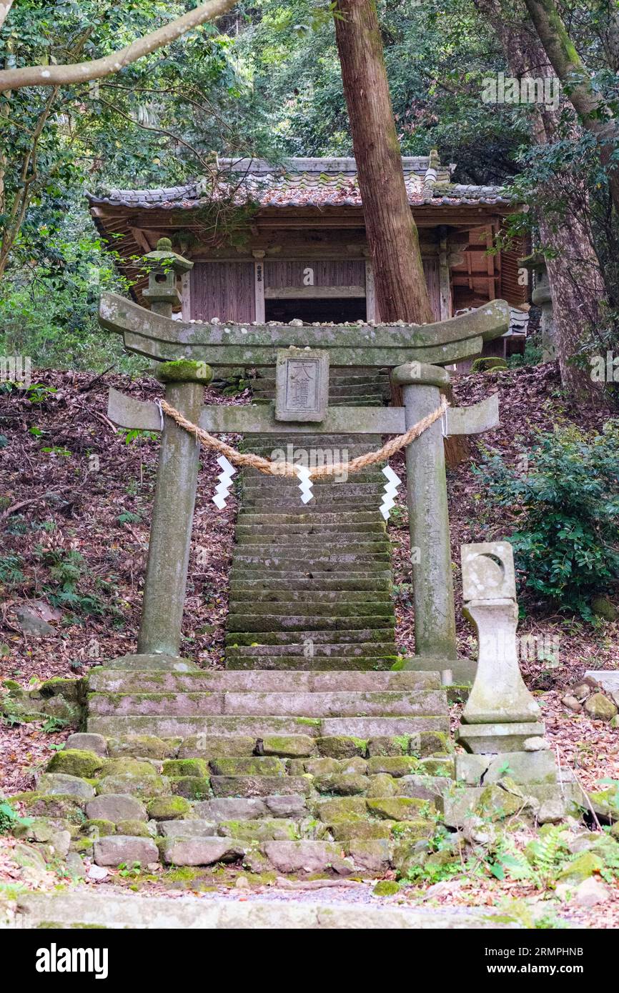 Japon, Kyushu. Porte torii du sanctuaire shinto au-dessus du temple bouddhiste Fuki-ji, péninsule de Kunisaki, préfecture d'Oita. Banque D'Images