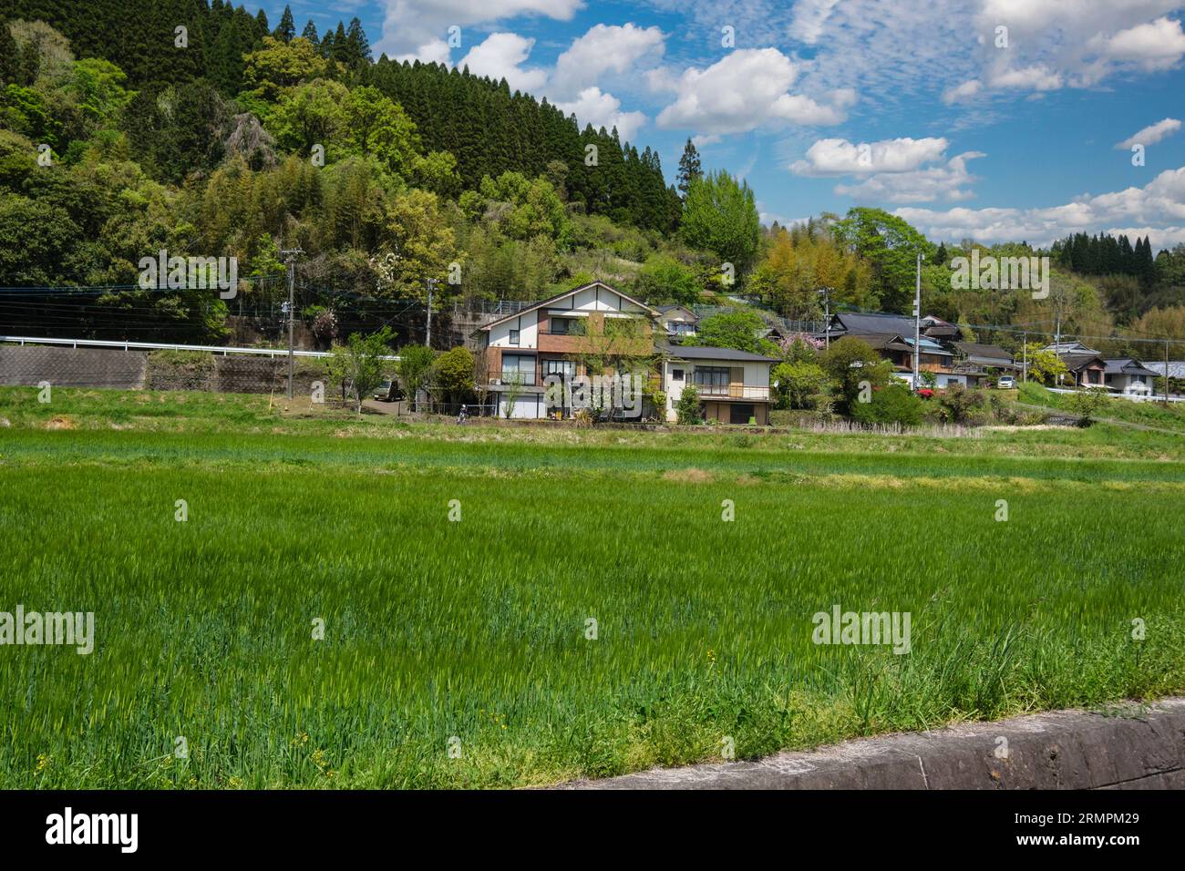 Japon, Kyushu, district de Bungo Ono. Champs et maisons agricoles irrigués. Préfecture d'Oita. Banque D'Images
