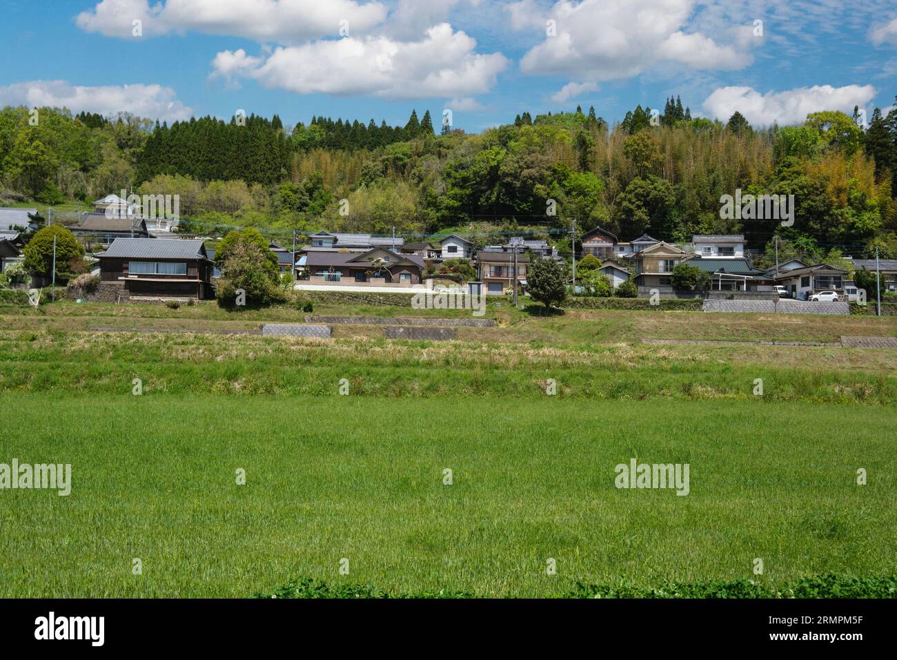 Japon, Kyushu, district de Bungo Ono. Champs et maisons agricoles irrigués. Préfecture d'Oita. Banque D'Images