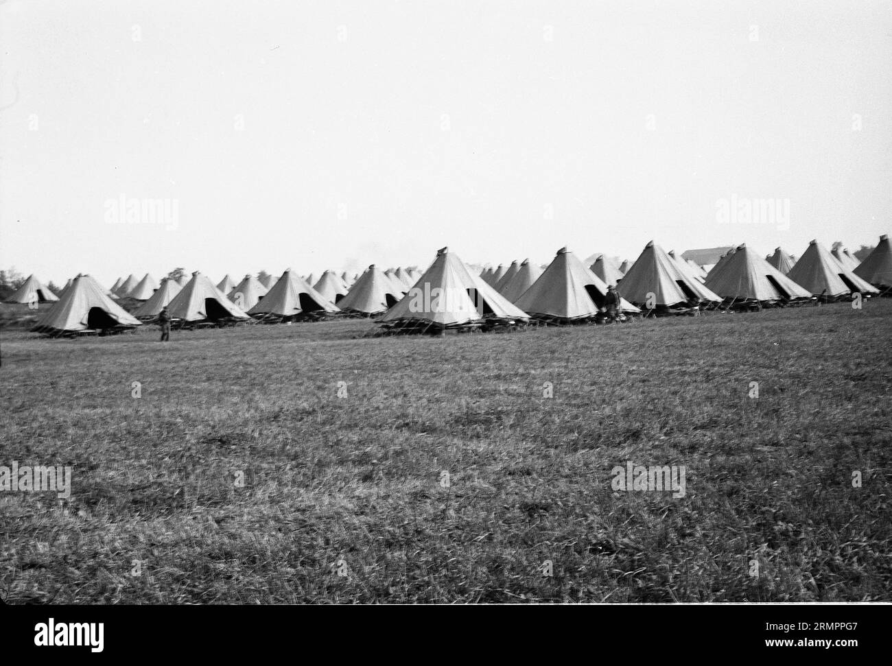Lignes de tentes. Les membres de la 114e division d’infanterie de l’armée des États-Unis s’entraînent pour combattre l’Allemagne en Europe pendant la Seconde Guerre mondiale. Banque D'Images