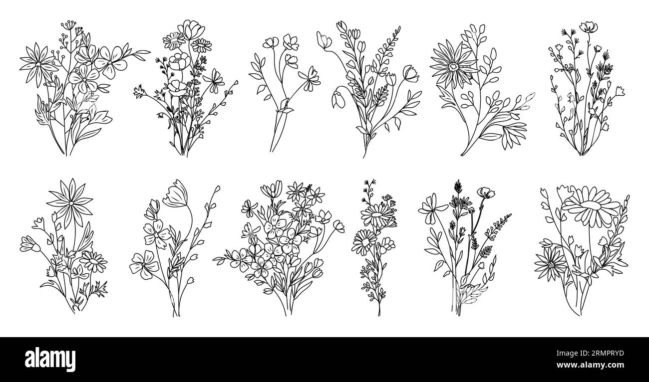 Bouquets d'art de ligne de fleurs sauvages ensemble vecteur isolé. Illustration de Vecteur