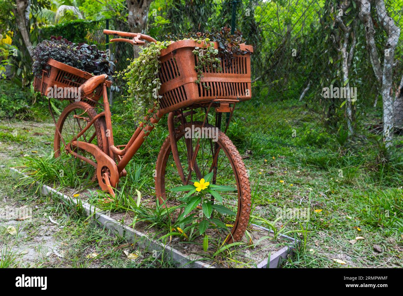 Vieux vélo avec des paniers de plantes en pot, gros plan. Objet de décoration de parc Banque D'Images