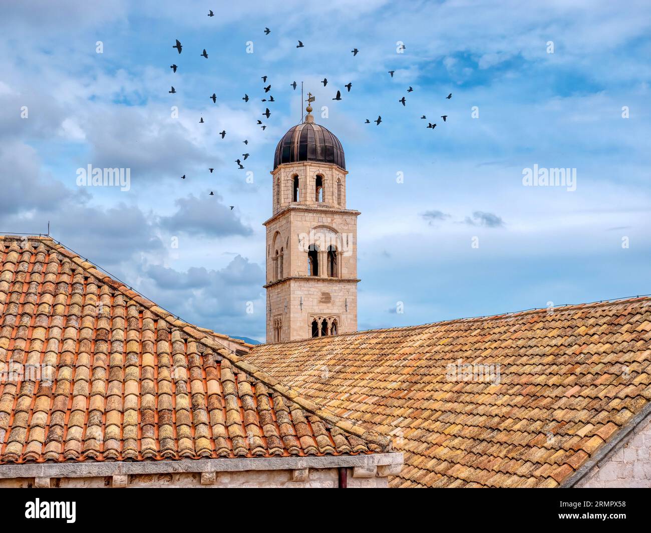 Dans la vieille ville de Dubrovnik, en Croatie, le clocher de l'église franciscaine historique et le monastère entouré d'oiseaux volants, et les toits oranges. Banque D'Images