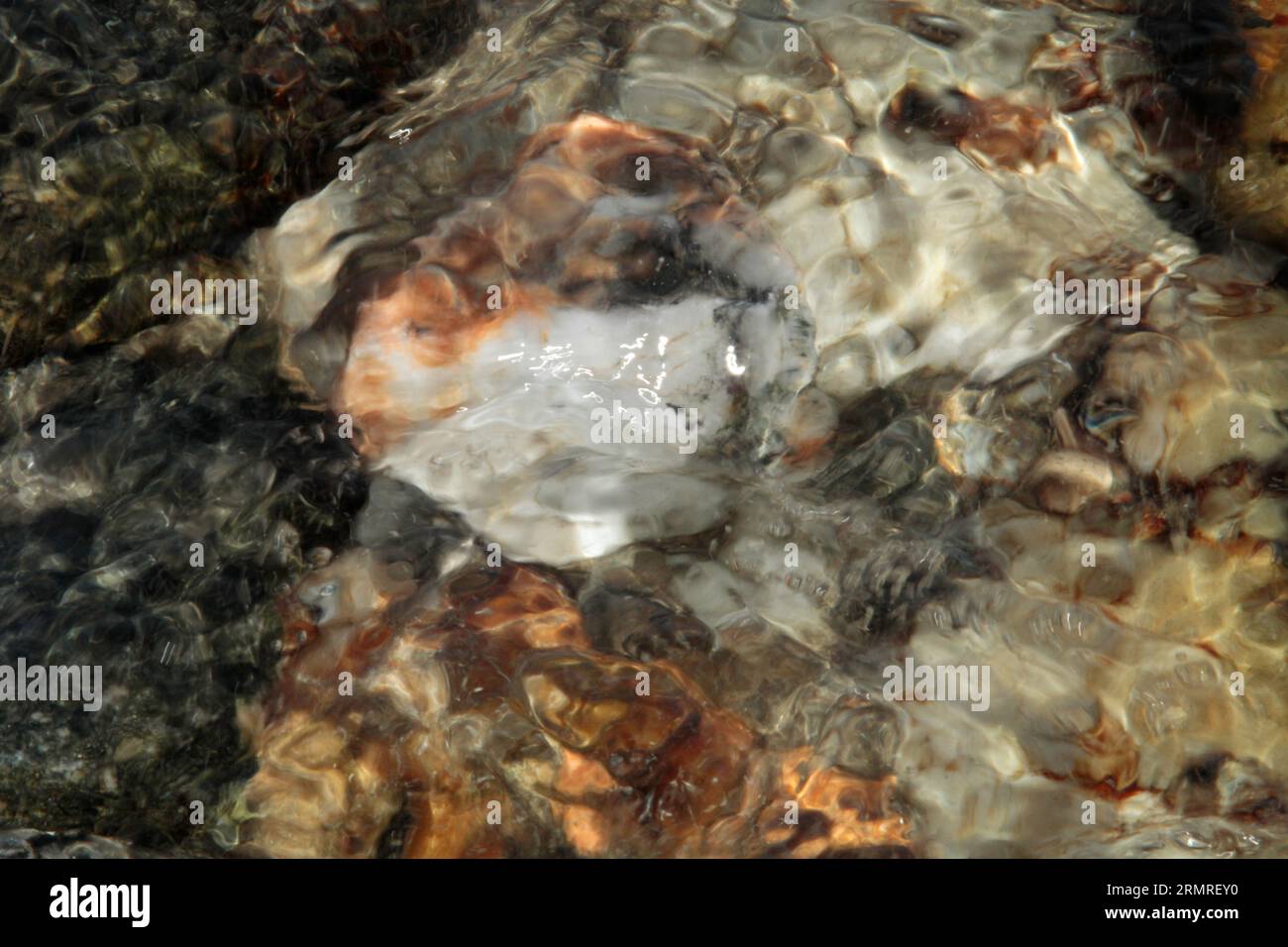 Roches blanches ; grises et brun rougeâtre sous l'eau Banque D'Images