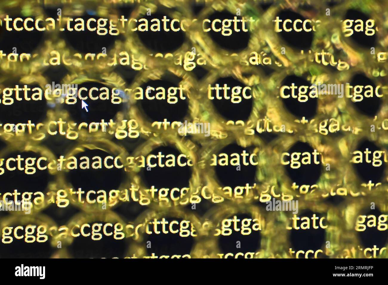 Arrière-plan abstrait. Recherche biologique scientifique. Tablette culturelle dans le contexte des objets biologiques de la recherche. Banque D'Images