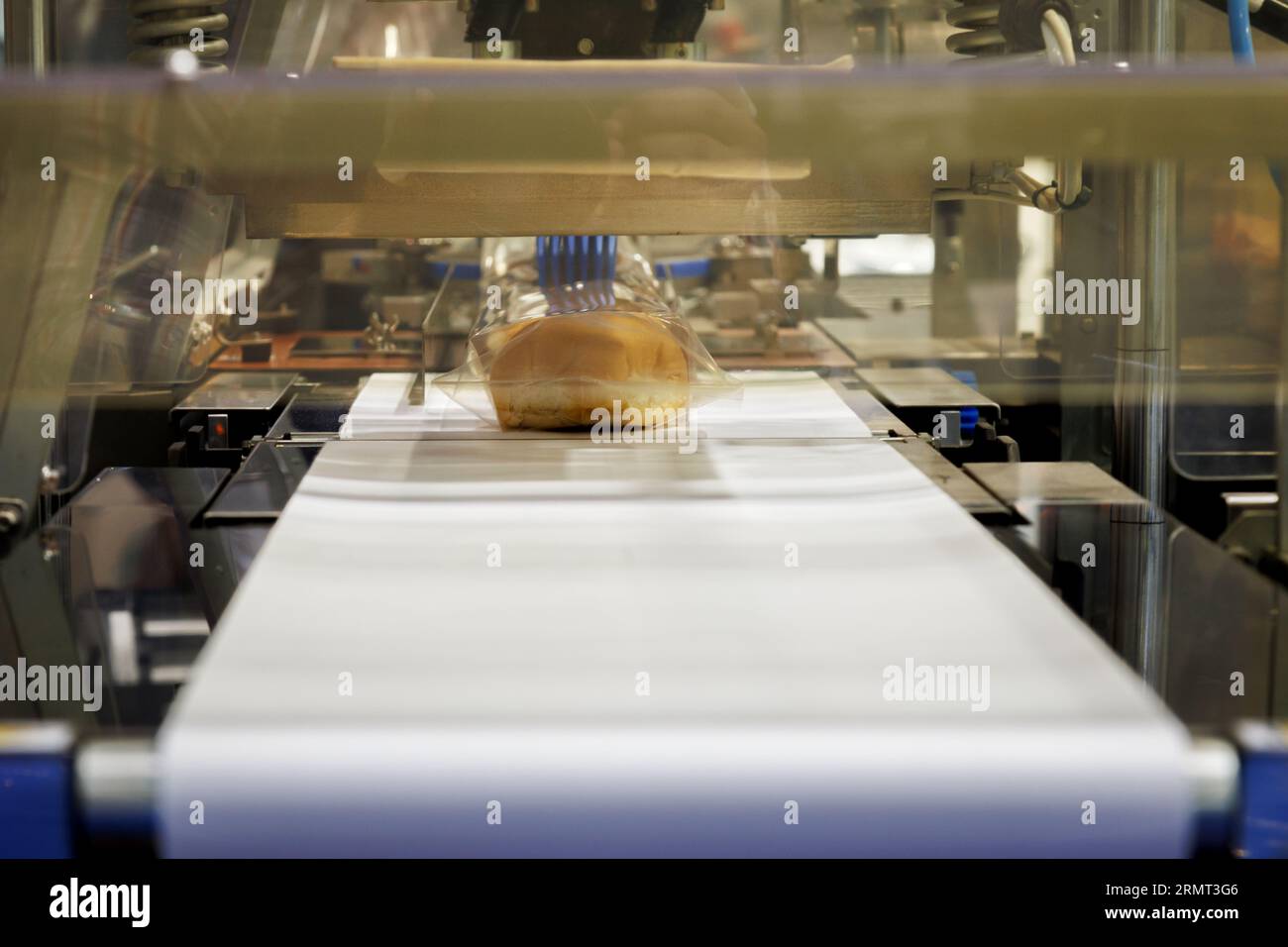 le pain cuit dans le sac en plastique de qualité alimentaire sur la bande transporteuse se déplace pour sceller dans la machine d'emballage à la ligne de production de l'usine de fabrication de boulangerie. Banque D'Images