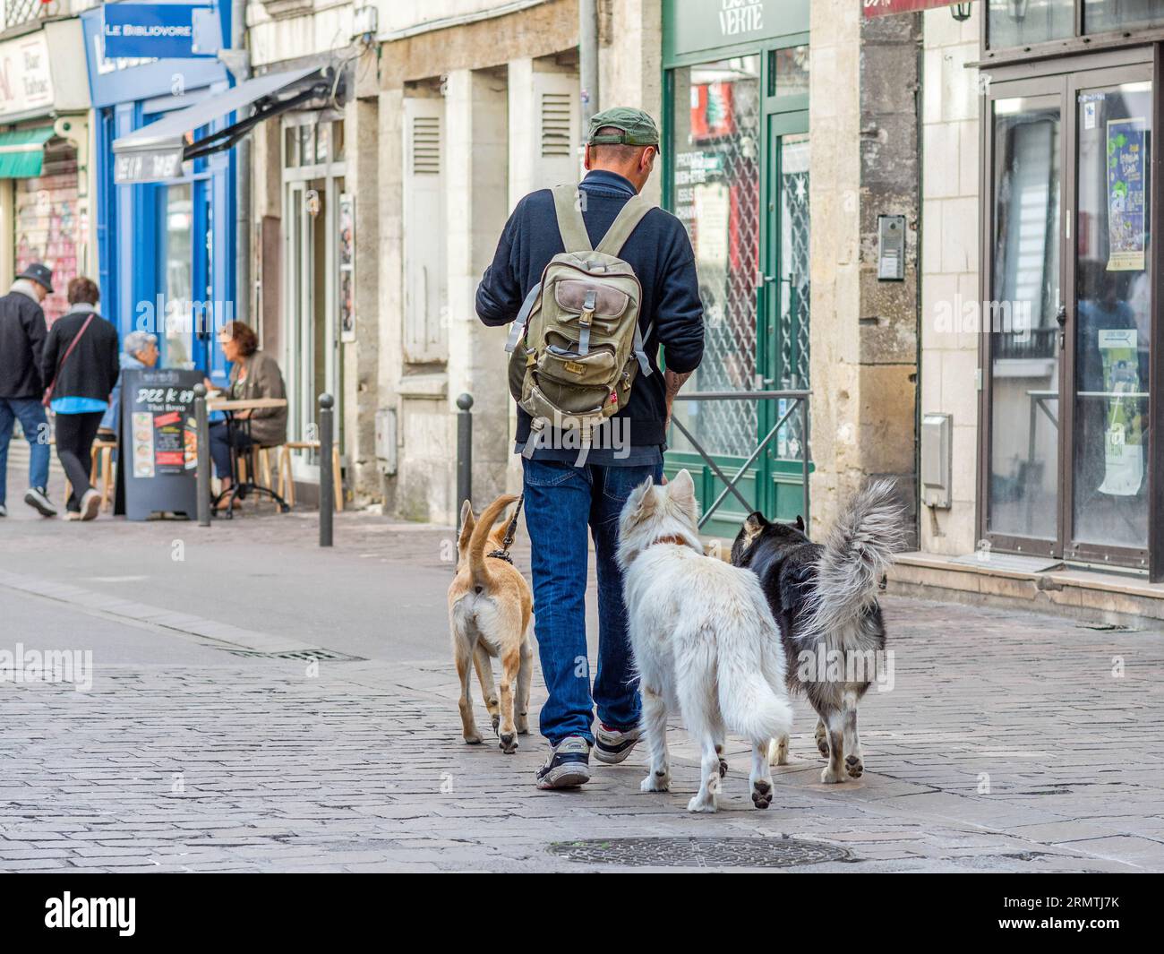Homme avec trois chiens marchant le long de la rue pavée du centre ville - Tours, Indre-et-Loire (37), France. Banque D'Images