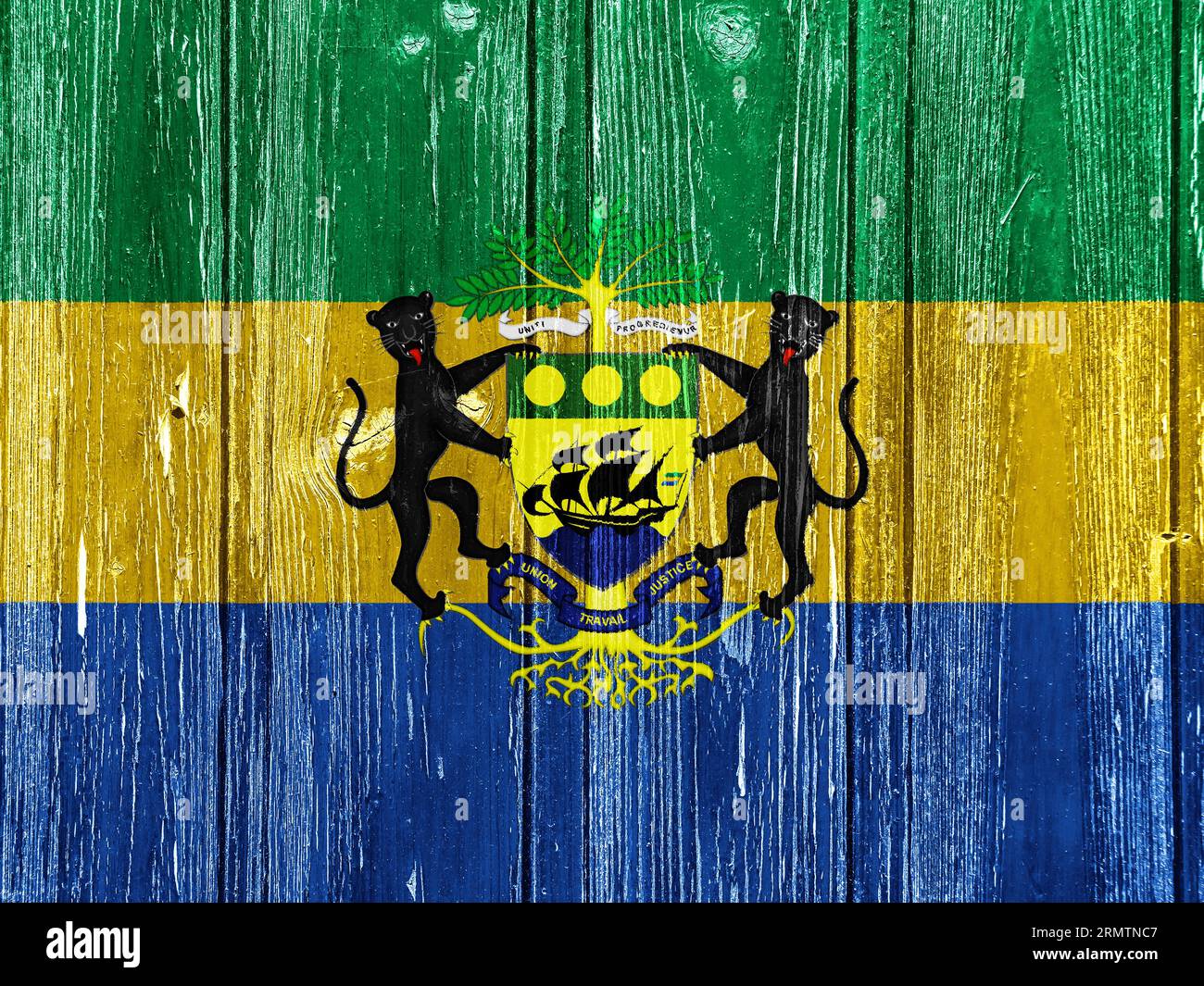 Drapeau et armoiries de la République du Gabon sur fond texturé. Collage de concept. Banque D'Images