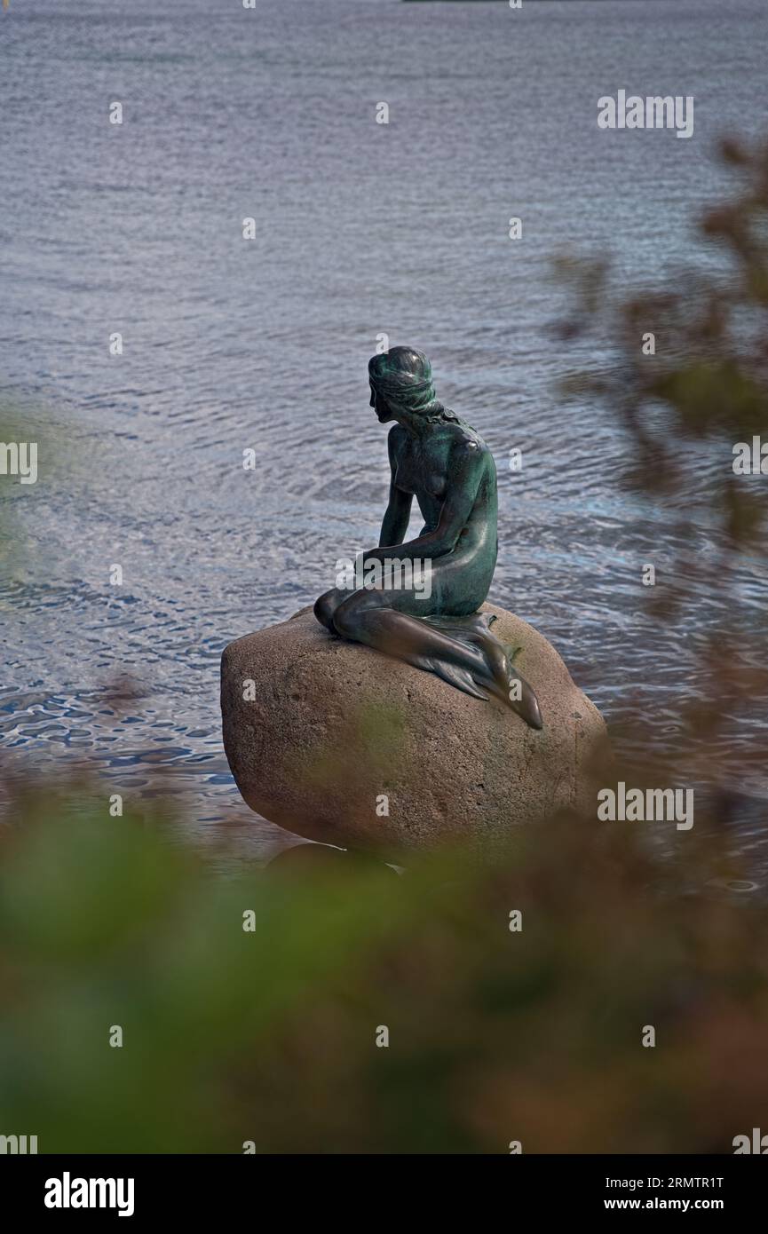 Vue portrait de la statue de la petite sirène, destination de voyage populaire dans la ville de Copenhague Danemark 16-08-2023 Banque D'Images