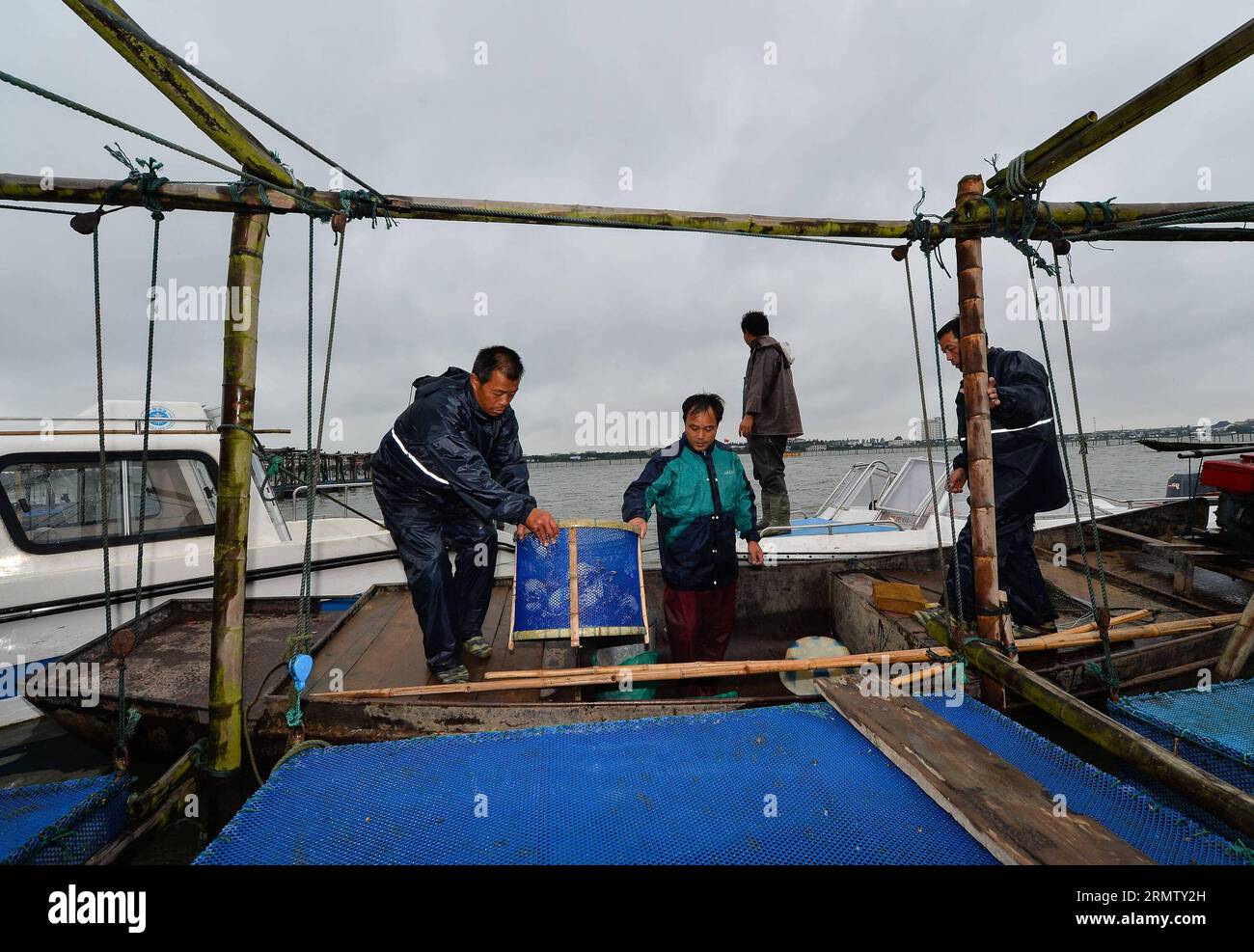 (140923) -- KUNSHAN, 23 septembre 2014 -- des pêcheurs transportent des crabes chinois récoltés sur le lac Yangcheng dans la ville de Bacheng à Kunshan, dans la province du Jiangsu, dans l est de la Chine, le 23 septembre 2014. La saison de récolte 2014 pour le crabe moufle chinois (Eriocheir sinensis) dans le lac Yangcheng, une importante zone productrice, a débuté mardi. Aussi connu comme le grand crabe d'écluse, les crabes chinois à moufles sont favorisés par de nombreux amateurs de gourmets et se vendent bien en ligne et sur les marchés réels ) (wjq) CHINA-JIANGSU-FISHERY-YANGCHENG LAKE-CHINESE MITTEN CRABE-MOISSON (CN) LixXiang PUBLICATIONxNOTxINxCHN Kunshan sept 23 2014 Fisherm Banque D'Images