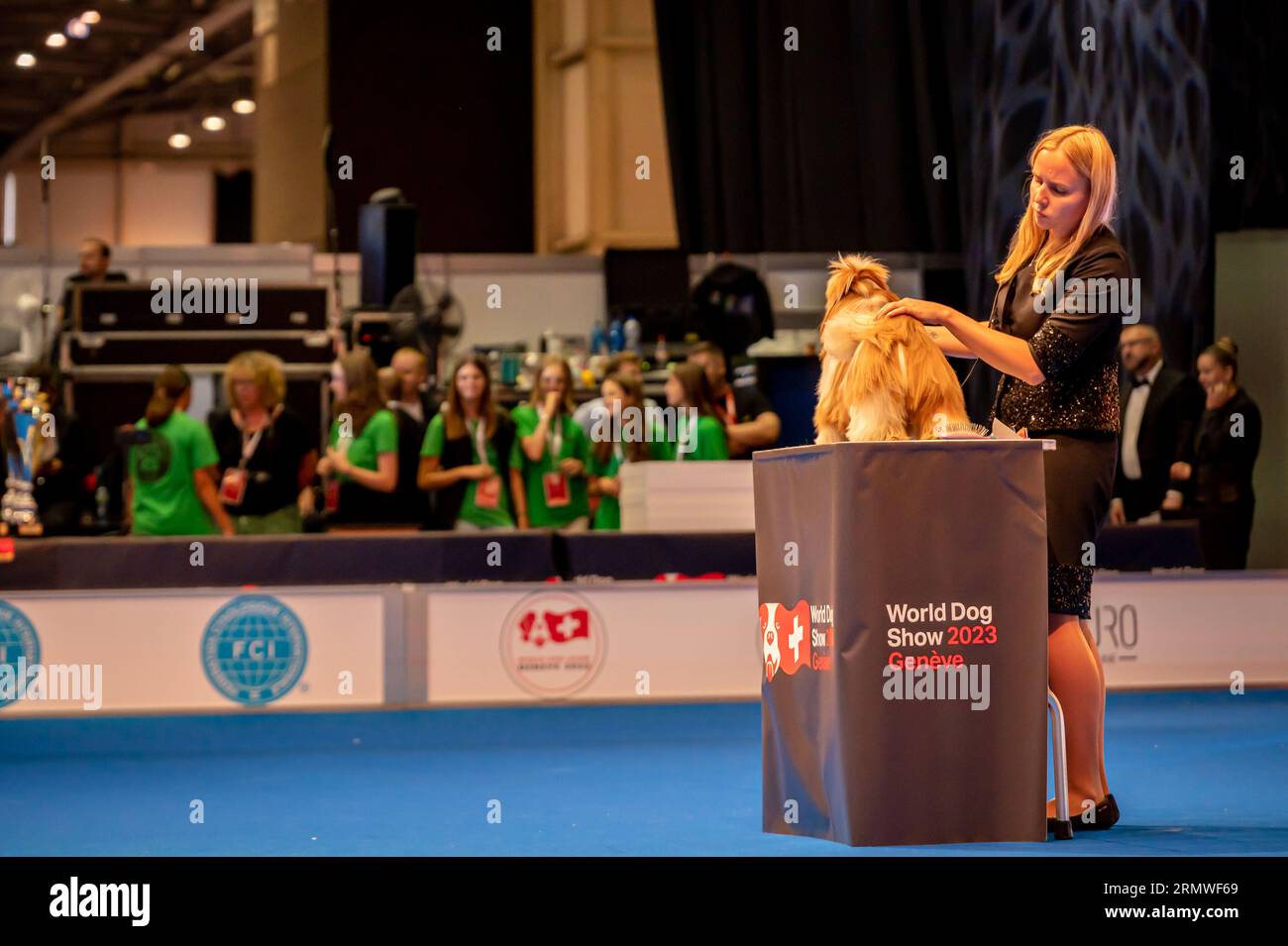 Genève, Canton de Genève, Suisse - 27 août, 2023 : chien de présentation du maître lors de l'exposition mondiale des chiens. Banque D'Images