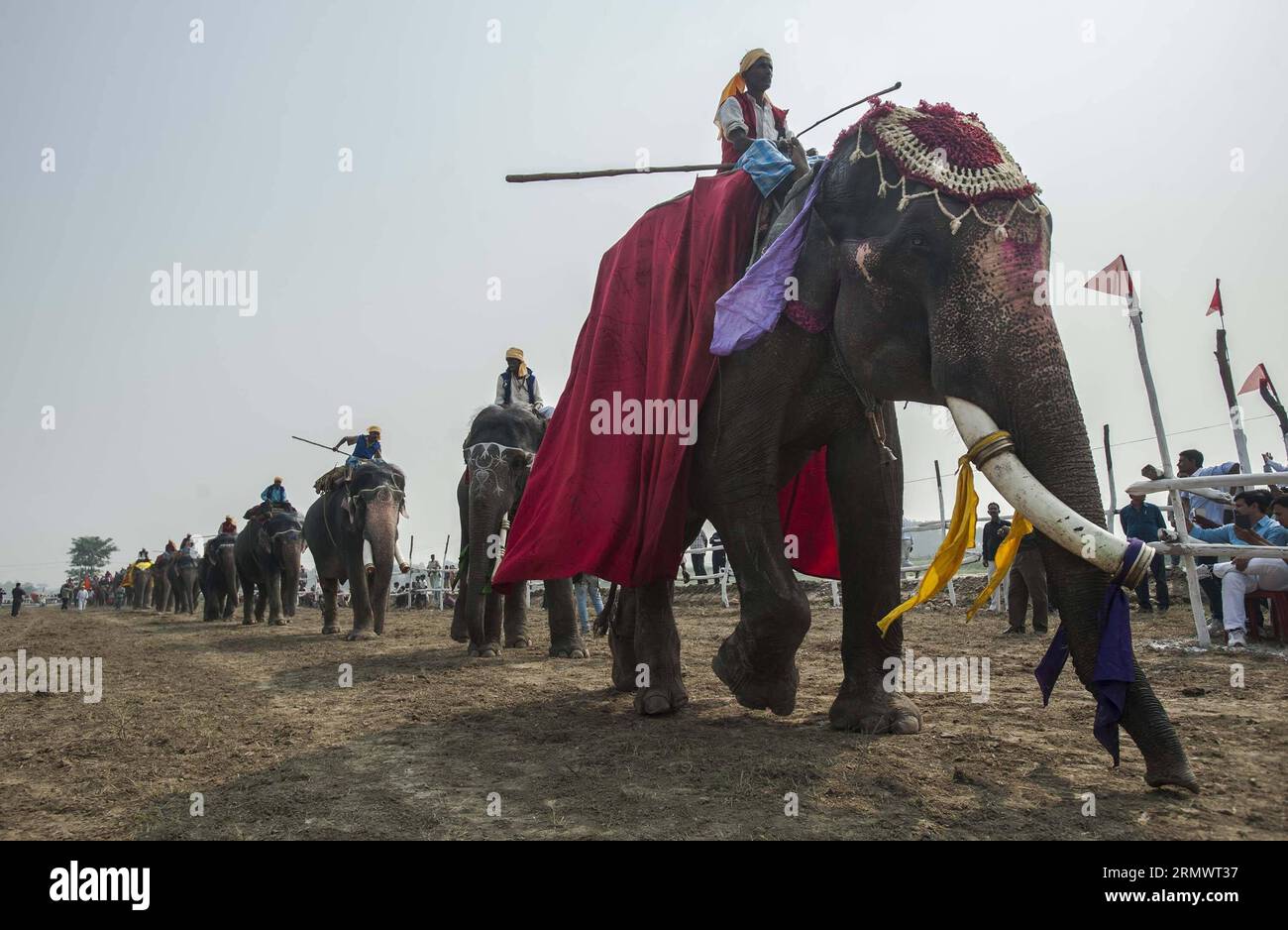 Les mahouts traditionnels indiens exposent des éléphants avant une course animale lors de la foire annuelle du bétail Sonepur, à environ 25 km de Patna, en Inde, le 9 novembre 2014. La foire a eu lieu au confluent du Gange et du Gandak.) INDIA-PATNA-HORCE-RACE TumpaxMondal PUBLICATIONxNOTxINxCHN Indian Traditional mahouts Exhibit Eléphants avant la course animale lors de la foire annuelle Sonepur Cattle Fair à environ 25 km de Patna Inde LE 9 2014 novembre la foire quel héros À la confluence du fleuve Gange et de l'Inde Patna Horce Race PUBLICATIONxNOTxINxCHN Banque D'Images