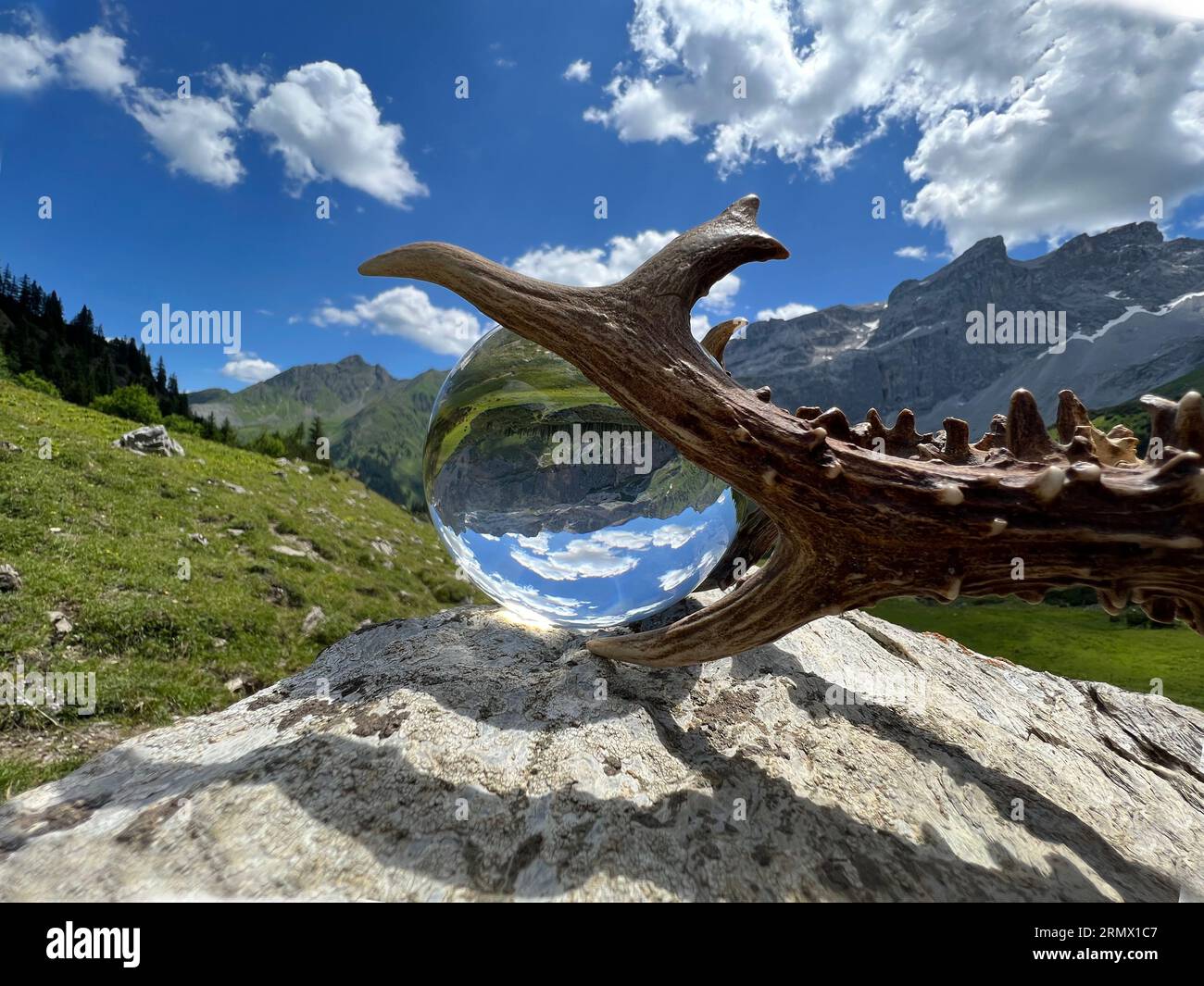 Nature morte d'impressionnants bois de roebuck (trophée de chasse), à côté de la boule de Lens, boule de cristal, avec des reflets de la vallée du Gauertal (Montafon, Vorarlberg) Banque D'Images