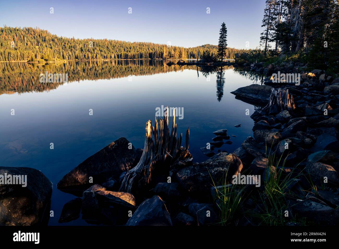 Gold Lake dans le comté de Plumas Californie États-Unis un matin d'été. Banque D'Images