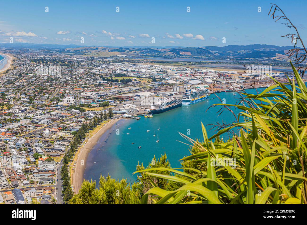 Areal view on harbor and cruise ship terminal of Tauranga city on northern island of New Zealand Banque D'Images