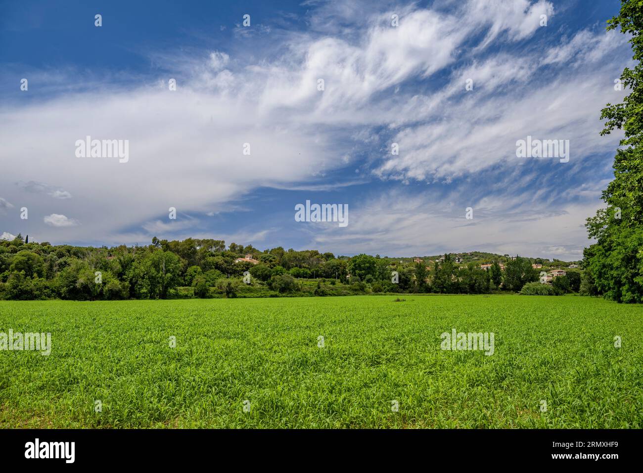 Champs verts et une maison dans la forêt à Santa Eulàlia de Ronçana (Vallès Oriental, Barcelone, Catalogne, Espagne) ESP : Campos verdes y una casa Banque D'Images