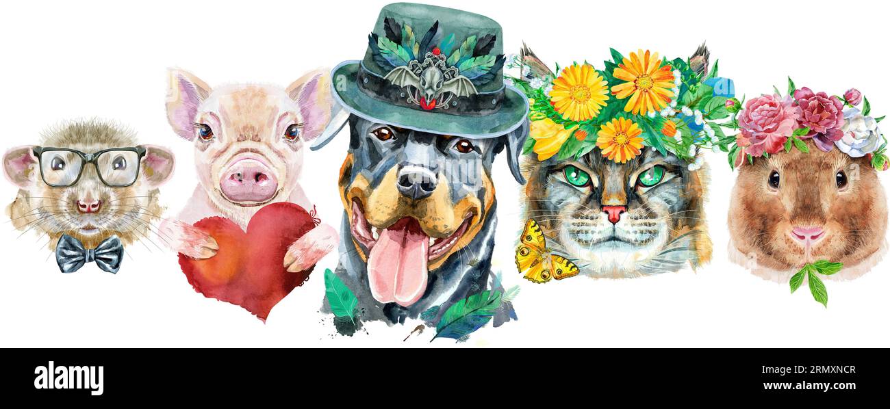 Bordure pour animaux de compagnie. Dessin aquarelle peint à la main, isoler clip art sur fond blanc. Conception de bannière Banque D'Images