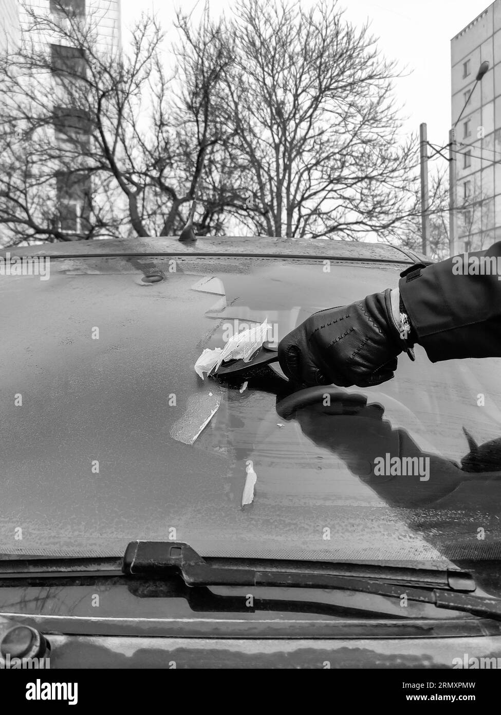 Nettoyage des vitres de voiture en hiver. L'homme gratte le cerceau avec un grattoir en plastique du pare-brise d'une voiture. Main dans un gant en cuir noir dans le froid. Banque D'Images