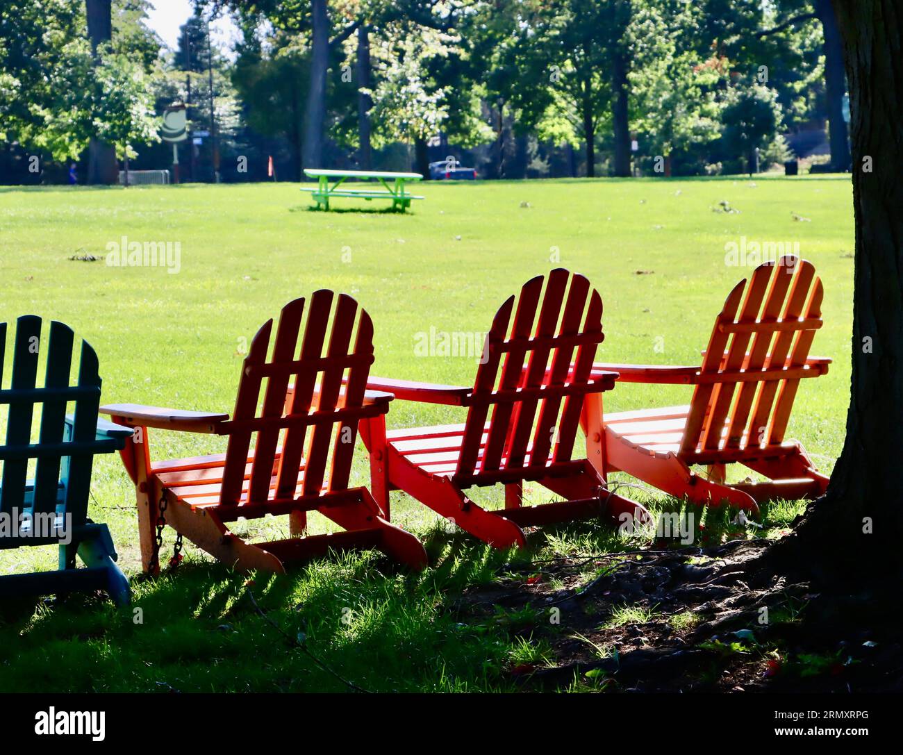 Une rangée de chaises Adirondack dans le parc de Wade Oval à Cleveland, Ohio Banque D'Images