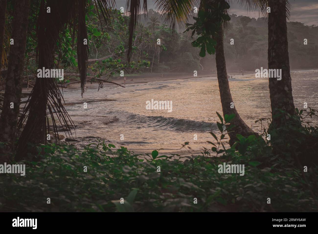 Belle jungle des caraïbes plage avec beau surf à proximité de Playa Cocles et Puerto Viejo au Costa rica. Vue à travers les buissons. -mer brumeuse et spray. Banque D'Images