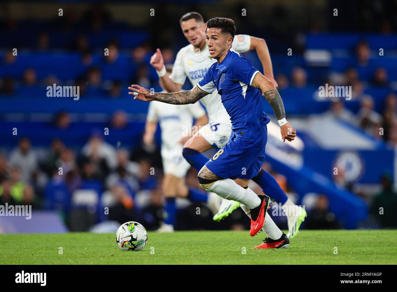 LONDRES, Royaume-Uni - 30 août 2023 : Enzo Fernandez de Chelsea en action lors du match de deuxième tour de la coupe EFL entre Chelsea et l'AFC Wimbledon à Stamford Bridge (crédit : Craig Mercer / Alamy Live News) Banque D'Images