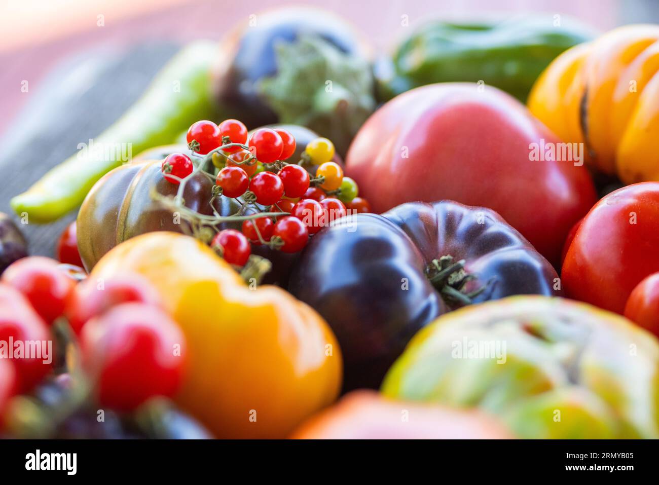 Tomates héritées colorées sur fond rustique gris Banque D'Images