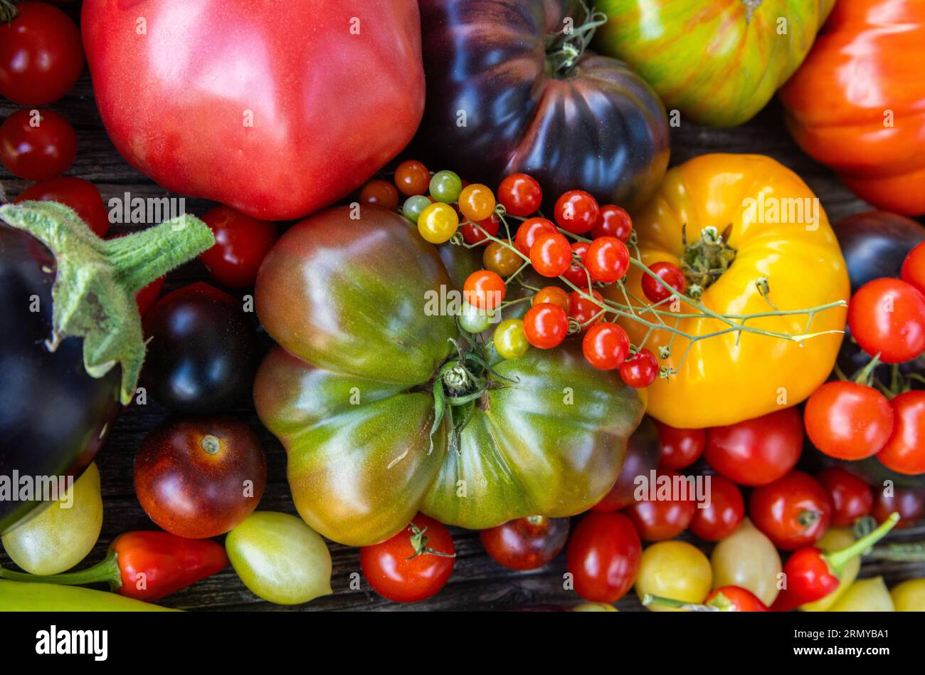 Tomates héritées colorées sur fond rustique gris Banque D'Images