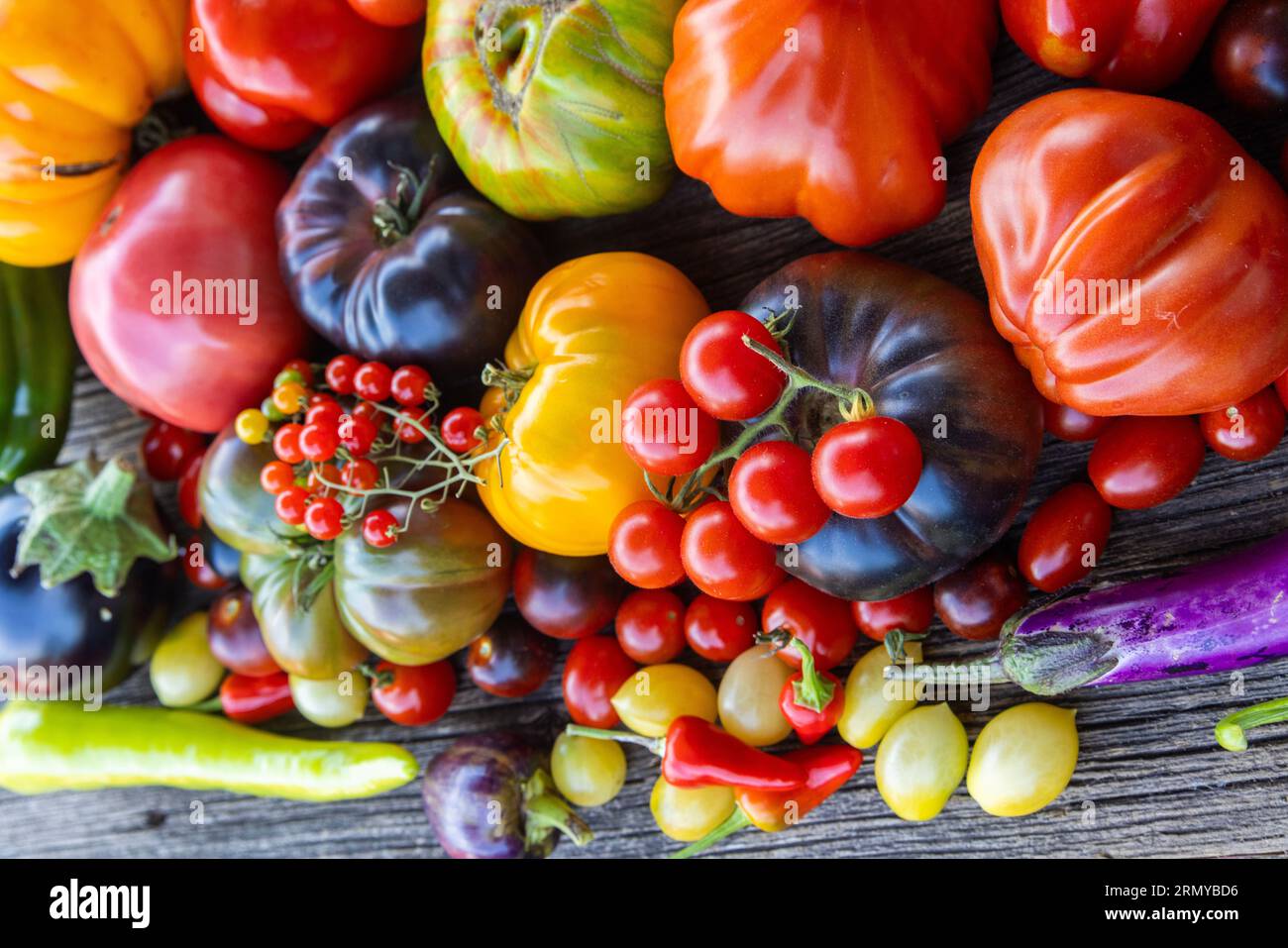 Tomates héritées colorées sur fond rustique gris Banque D'Images