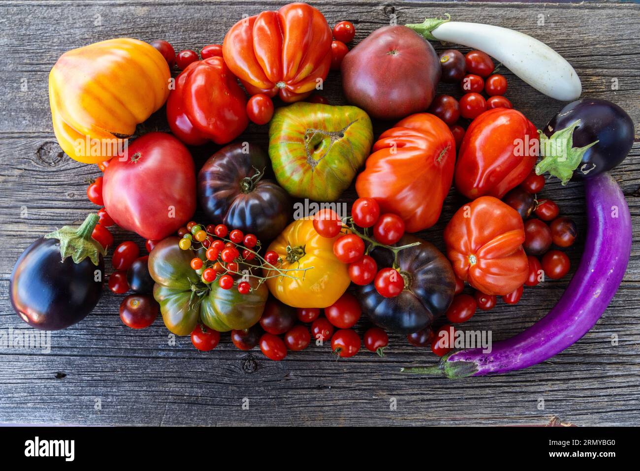 Tomates héritées colorées sur fond rustique gris Banque D'Images