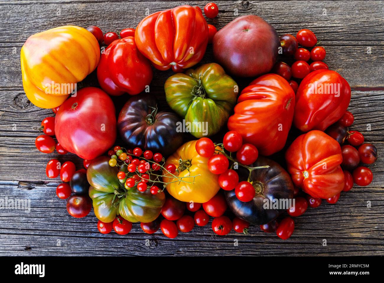 Tomates héritées colorées sur fond rustique gris Banque D'Images