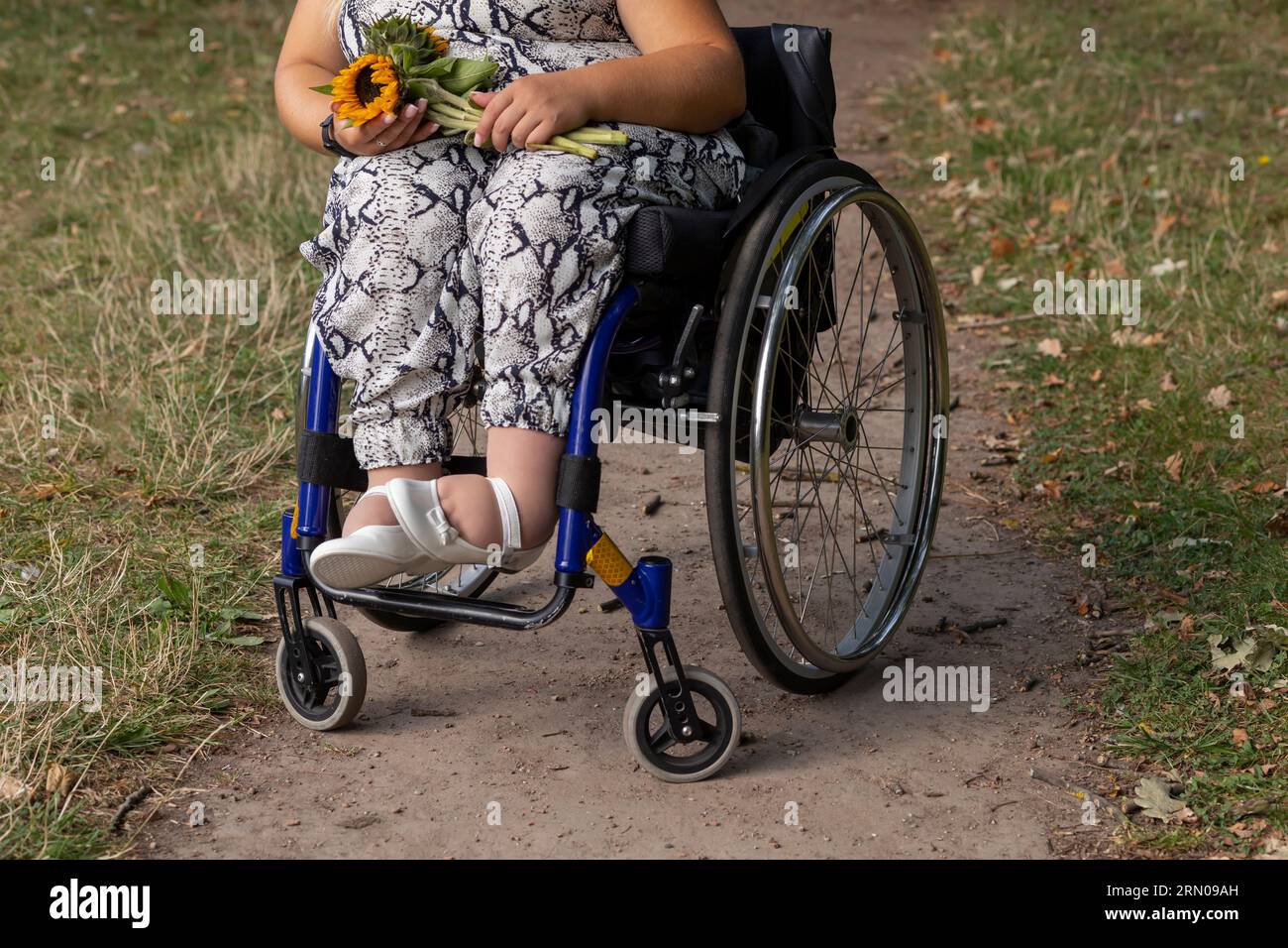 Cropped Jeune femme avec petite stature sur fauteuil roulant tient bouquet de fleurs dans Green Park au jour d'été. Femme adulte handicapée. Relation Banque D'Images
