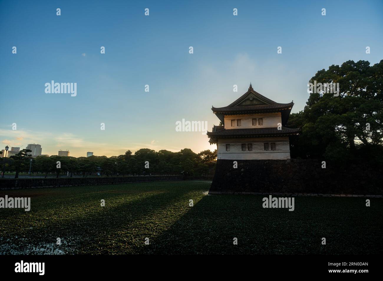 Palais impérial de Tokyo photographié au coucher du soleil. Beau ciel au-dessus du château de la période Edo au Japon. Banque D'Images