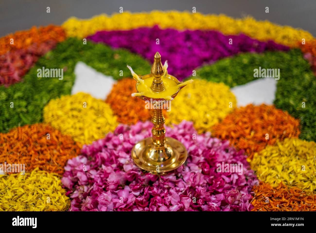 Festival Onam, lampe à huile, lampe en laiton, rangoli floral, concept, conceptuel, dessus de table, Kerala, Inde, Asie, stock photo, mage, arrière-plan flou Banque D'Images