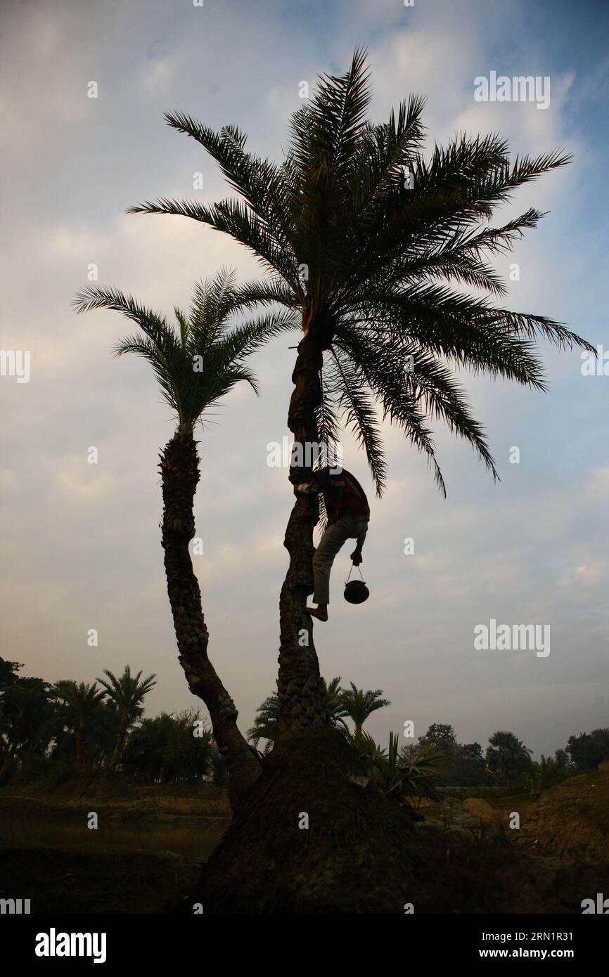 Un villageois recueille le jus de palmier dans un village près de Diamond Harbor dans le Bengale occidental, en Inde, le 16 janvier 2015. En dépit de l'environnement paisible dans les villages du delta du Gange, la vie rurale apporte à la population locale un revenu moyen de moins de 100 roupies (environ 1,6 dollars américains) par jour. En raison de la médiocrité des transports et du manque d'industrie, les villageois gagnent leur pain et leur beurre en effectuant des travaux à forte intensité de main-d'œuvre tels que la collecte de jus de palmiers, l'agriculture saisonnière et les cigarettes roulées à la main, qui font des villages du delta du Gange l'une des régions les plus pauvres du pays. INDE- Banque D'Images