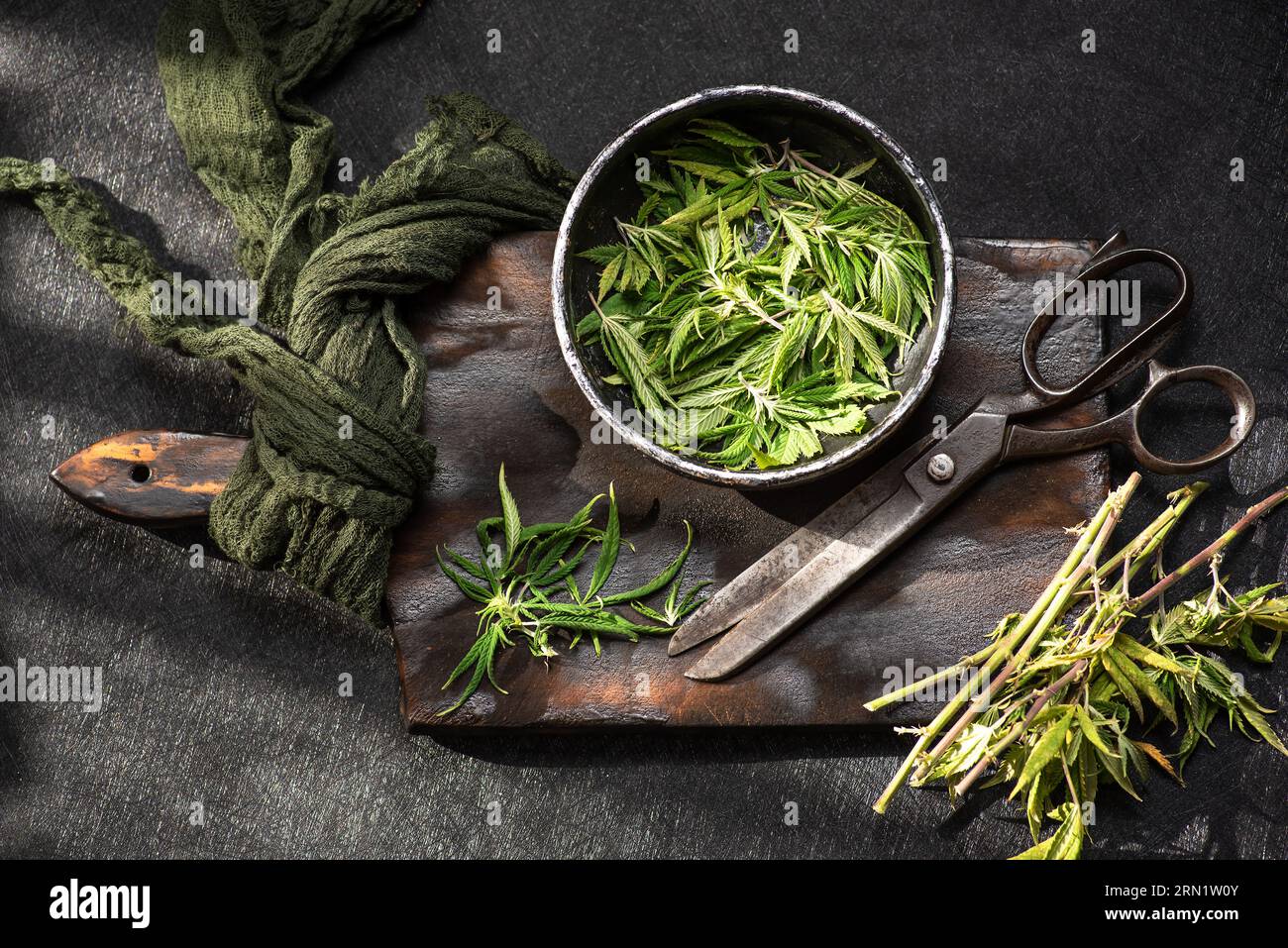 Tailler une plante de cannabis avec des ciseaux sur une planche à découper en bois sur un fond sombre Banque D'Images