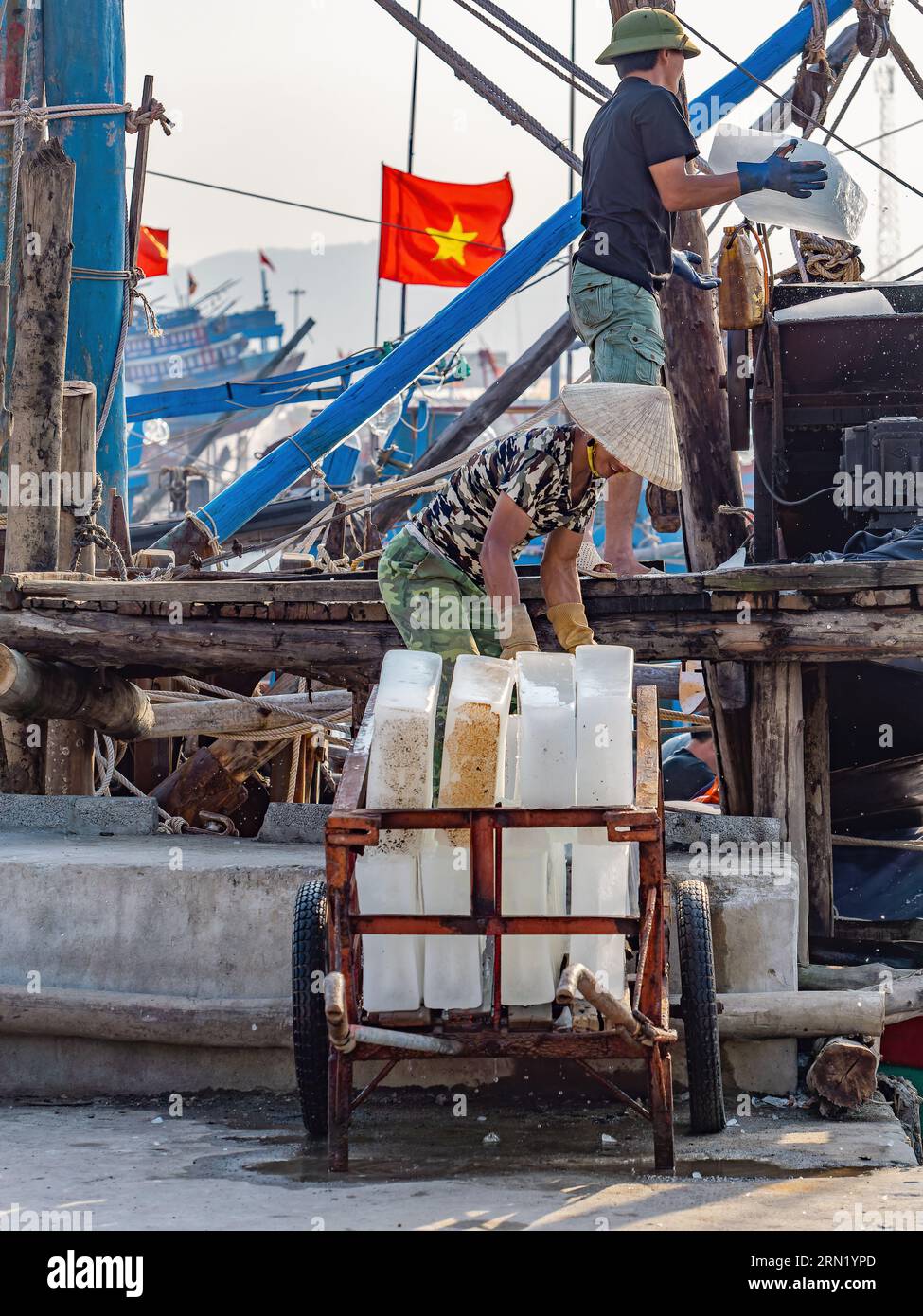 Des blocs de glace sont introduits dans un concasseur lors de la livraison à des bateaux de pêche à Hai Thanh, un village de pêcheurs dans la province de Thanh Hoa au Vietnam. Banque D'Images