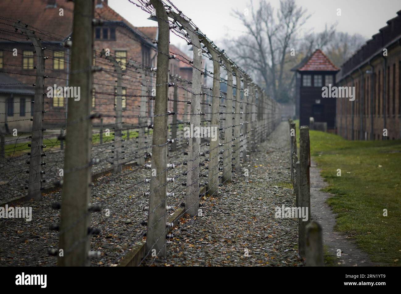(150127) -- BRUXELLES, 27 janvier 2015 -- la photo prise le 9 novembre 2012 montre la clôture en fil de fer barbelé de l'ancien camp de concentration d'Auschwitz à Oswiecim, en Pologne. Les célébrations du 70e anniversaire de la libération du camp de concentration d'Auschwitz ont commencé mardi matin dans la ville d'Oswiecim, dans le sud de la Pologne. Le camp de concentration a été fondé en 1940 par les Allemands principalement dans le but d'emprisonner les prisonniers polonais. Depuis 1942, il est devenu l'un des plus grands lieux d'extermination juive en Europe, avec plus de 1,1 millions de morts, y compris des Polonais, des Roumains, des prisonniers soviétiques et d'autres Banque D'Images