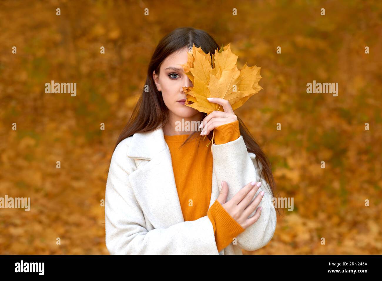 femme triste portant un manteau d'automne marchant au parc. fille offensée tenant des feuilles bouquet dans la nature d'automne Banque D'Images