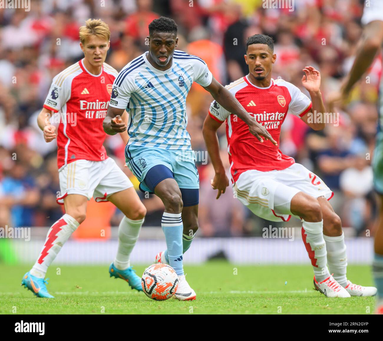 Londres, Royaume-Uni. 12 août 2023 - Arsenal v Nottingham Forest - Premier League - Emirates Stadium. Taiwo Awoniyi de Nottingham Forest lors du match de Premier League aux Emirates. Crédit photo : Mark pain / Alamy Live News Banque D'Images