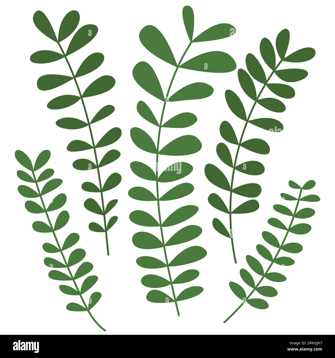 Rameaux avec feuilles Illustration de Vecteur