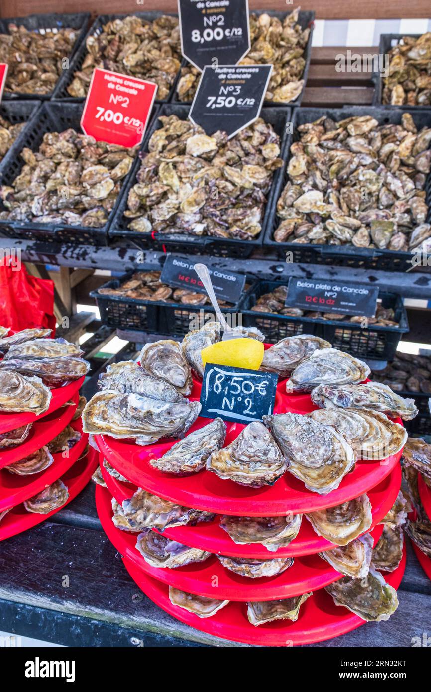 France, Ille et Vilaine, Côte d'Emeraude, Cancale, marché aux huîtres dans le port Banque D'Images