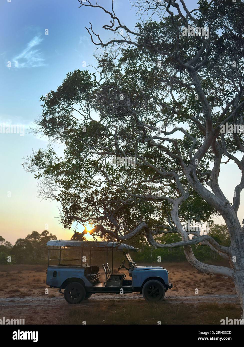 Vue latérale d'un vieux Land rover vintage, parking jeep dans la savane champ sec contre le lever du soleil tôt le matin près de branche d'arbre géant, scène tranquille Banque D'Images