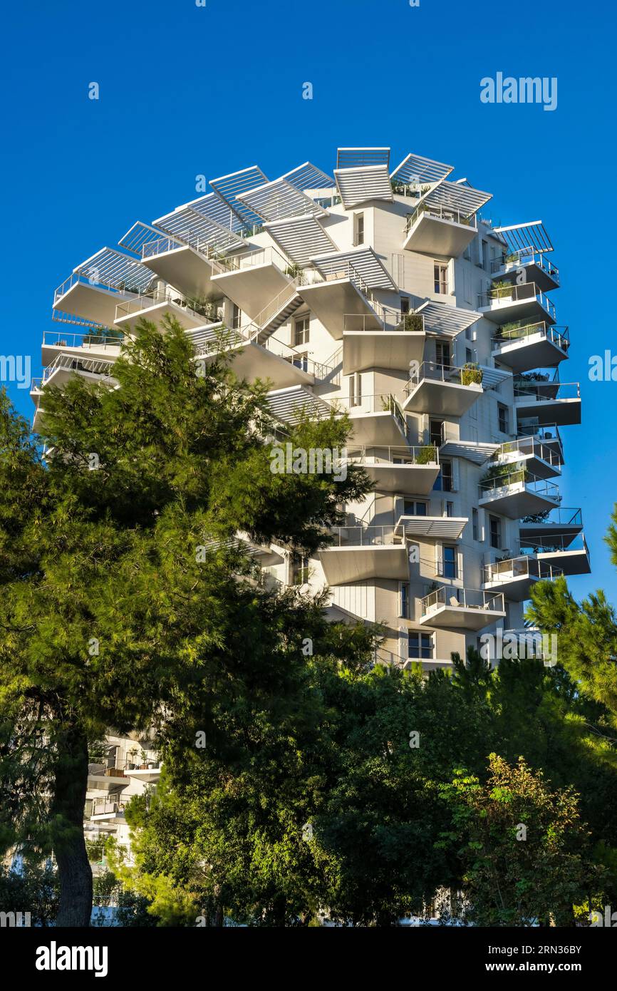 France, Hérault, Montpellier, quartier Richter, les rives du Lez, l'arbre blanc, bâtiment conçu par l'architecte japonais Sou Foujimoto et les architectes français Nicolas Laisne et Manal Rachdi Banque D'Images