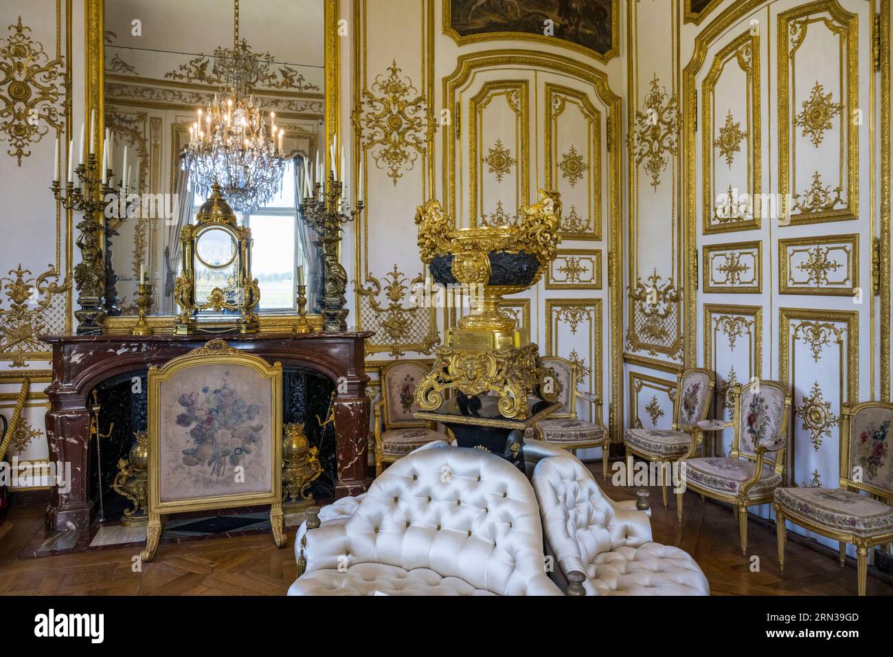 France, Oise, Chantilly, le château de Chantilly, Grand Cabinet de Monsieur le Prince Banque D'Images