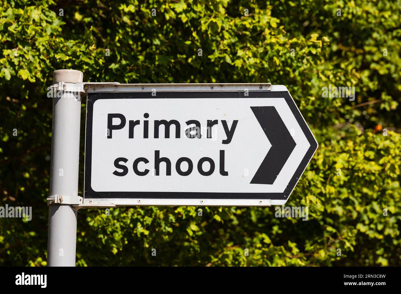 Panneau générique de direction de l'école primaire britannique pointant vers la droite. haie verte derrière. Banque D'Images